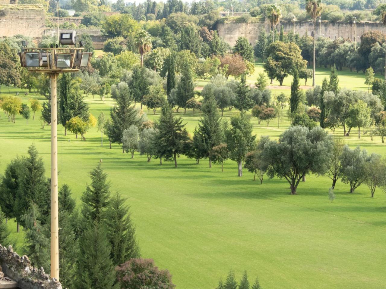 Golf Stinia 1